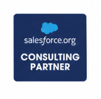 Salesforce.org Consulting Partner